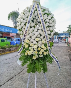 Words fail to express